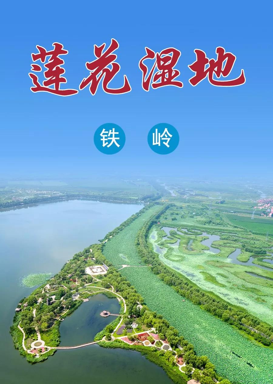 【非遗动态】非遗网与铁岭莲花湖湿地公园签署战略合作协议